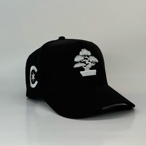 Chi Bonsai Snapback Hat